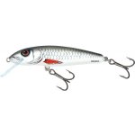 SALMO Minnow sinking 7 cm Dace – Sleviste.cz