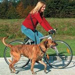 Trixie vodítko na kolo a jogging 100-200 x 2,5 cm – Hledejceny.cz