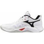Mizuno WAVE MOMENTUM PRO U V1GA254059 – Zboží Mobilmania