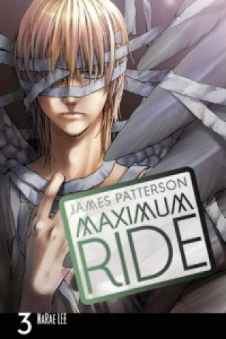 Maximum Ride: Manga