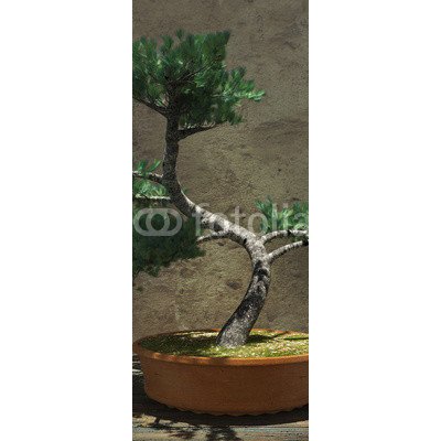 WEBLUX 104394610 Samolepka na lednici fólie Decorative Bonsai Tree Dekorativní strom bonsai rozměry 80 x 200 cm