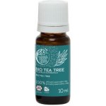 Tierra Verde Silice Tea tree BIO antibakteriální pomocník 10 ml – Zboží Dáma