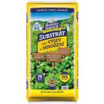 Forestina Hoštický Pro výsev a množení 70 l – Zboží Dáma