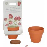 Little Dutch květináč jahody Forest Friends – Zbozi.Blesk.cz