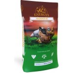 Energys Gold granule nosnice 25 kg – Zboží Dáma