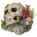 Nobby Vzduchovací lebka 13,5x20x16,5 cm – Zboží Mobilmania