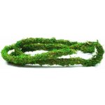 Repti Planet Liána s mechem 2 x 200 cm – Zboží Dáma