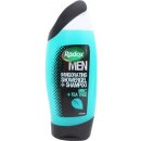 Radox Men Invigorate Mint sprchový gel 250 ml