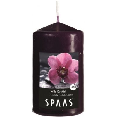 Spaas orchidej 6 x 10 cm