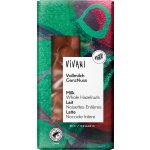Vivani Mléčná s lískovými oříšky 100 g – Zboží Dáma