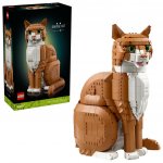 LEGO® Ideas 21376 Oranžová kočka – Hledejceny.cz