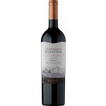 Castillo de Molina Merlot Gran Reserva červené suché 14% 0,75 l (holá láhev) – Hledejceny.cz