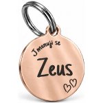 u Psíka Známka pro psa Love 25*30mm Rose Gold – Hledejceny.cz