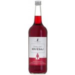 Ďábelský Krvesaj 1 l (holá láhev) – Zbozi.Blesk.cz