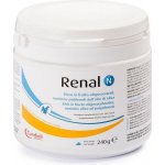 Candioli Renal N 70 g – Hledejceny.cz
