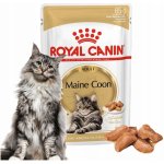 Royal Canin Maine Coon gravy 85 g – Sleviste.cz