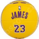 Spalding NBA player ball Lebron James