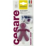 Mr&Mrs Fragrance Cesare Tuscany Grape | Zboží Auto