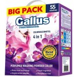 Gallus Profesional Color prací prášek 3,05 kg 55 PD – Hledejceny.cz