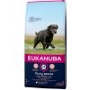 Vitamíny pro zvířata Eukanuba Caring senior Large Breed 15 kg