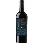 Feudi Salentini 125 Malvasia Nera IGP 2023 12,5% 0,75 l (holá láhev) – Hledejceny.cz