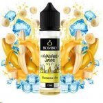 Bombo Wailani Juice S & V Banana Ice 15 ml – Hledejceny.cz