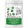 Vitamíny pro psa Dromy BOSWELLIA Serrata 750 g