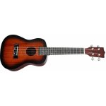 Tanglewood TWT 1 – Zbozi.Blesk.cz