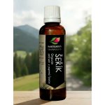 Rabštejnská apatyka Šeřík tinktura z pupenů 50 ml – Hledejceny.cz