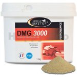 Horse Master DMG 3000 1,3 kg – Hledejceny.cz
