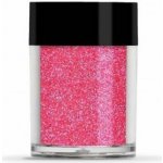 Lecenté Glitrový prášek Carnation Iridescent 35 Růžová 8 g – Hledejceny.cz