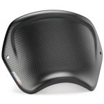 Puig Frontal Plate 3591C karbonový vzhled – Sleviste.cz