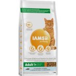 Iams for Vitality Cat Adult Ocean Fish 10 kg – Zboží Mobilmania