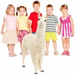 Schleich 13920 lama – Sleviste.cz