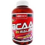 XXtreme BCAA Malate 211 240 kapslí – Hledejceny.cz