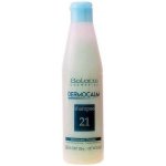 Salerm šampon Dermocalmante 250 ml – Sleviste.cz