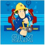 FARO Magický ručníček Mašinka Tomáš portrét Froté 30 x 30 cm – Zboží Dáma