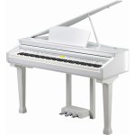 Kurzweil KAG100 – Zboží Dáma