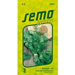 SEMO Koriandr 2 g – Zboží Dáma