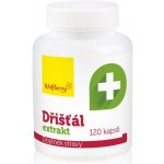 Wolfberry Dřišťál extrakt 120 kapslí – Hledejceny.cz