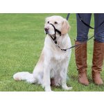 Trixie TOP TRAINER výcvikový postroj L XL – Hledejceny.cz