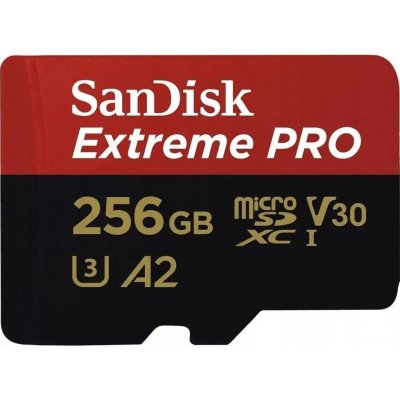 SanDisk SDXC UHS-I U3 256 GB SDSQXBD-256G-GN6MA – Zboží Mobilmania
