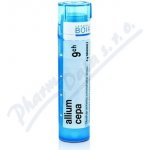 ALLIUM CEPA POR 9CH GRA 1X4G – Hledejceny.cz