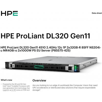 HPE PL DL320g11 4510 P85575-425 – Sleviste.cz