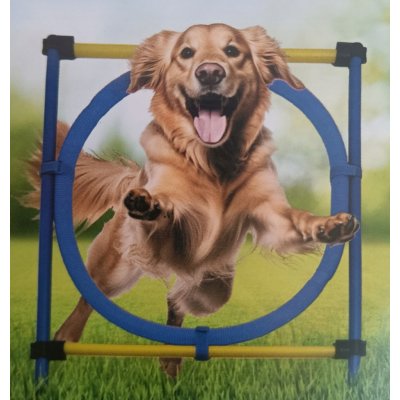 Elektronický obojek proti štěkání BENTECH T40S – Zbozi.Blesk.cz