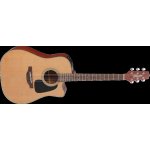 Takamine P1DC Natural Satin – Hledejceny.cz