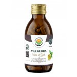 Salvia paradise vilcacora uncaria tomentosa 120 kapslí – Hledejceny.cz