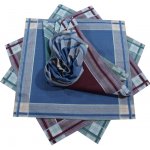 Etex Kapesníky 6ks česaná bavlna – Zboží Dáma