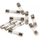 FERROLI pojistka 2A sada 10ks – Zboží Mobilmania