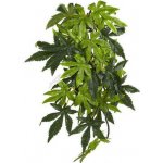 Hagen Exo Terra rostlina Abuliton malá 40 cm – HobbyKompas.cz